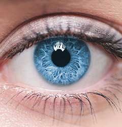 closeup of blue eye